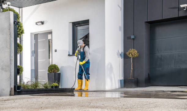 Best Gutter Cleaning  in , CT